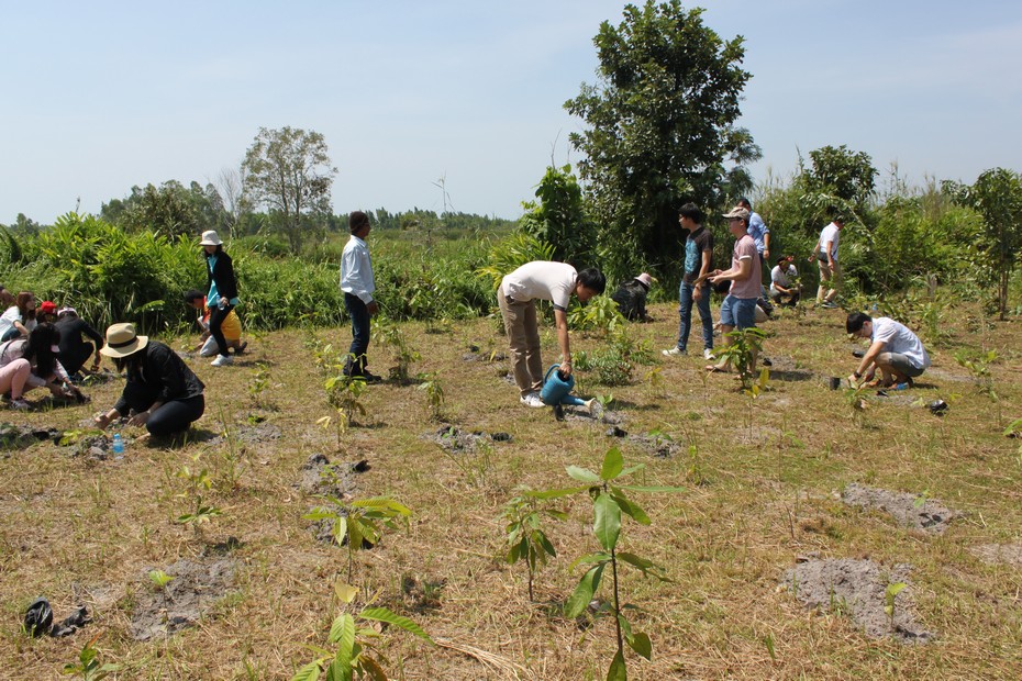 Tree Planting