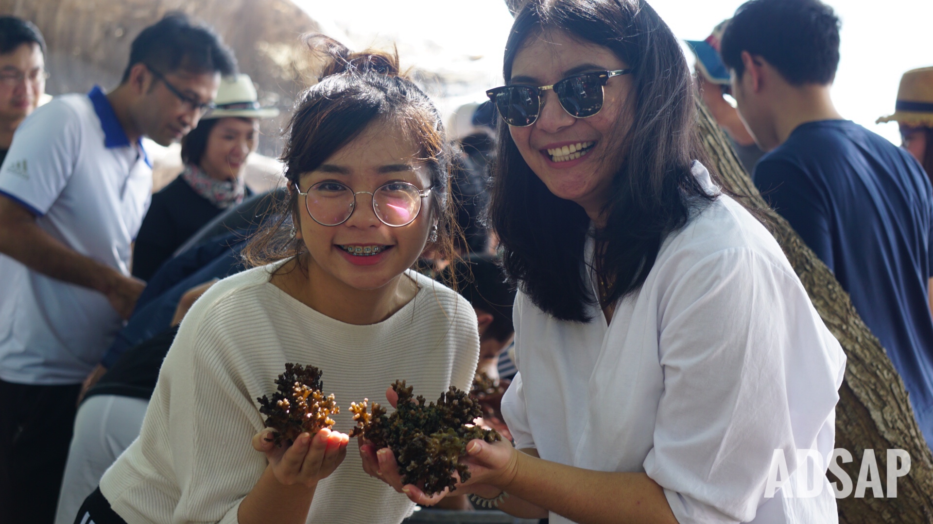 Save Coral Reefs